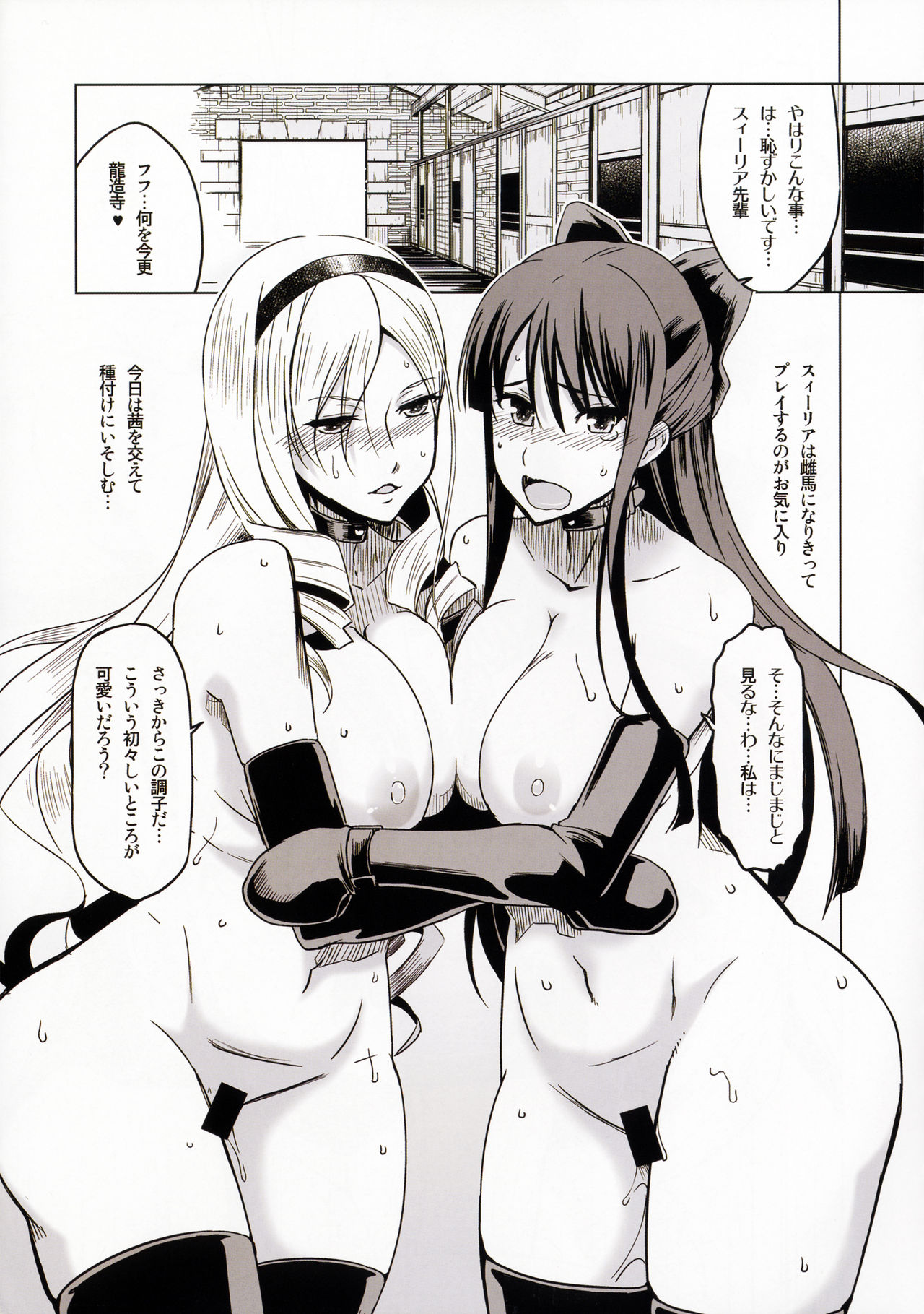 (SC2017 Summer) [MBL (Various)] Tsuyaba Ni (Walkure Romanze) page 22 full