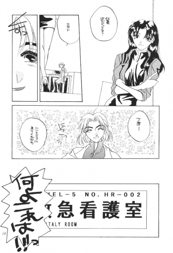 (CR19) [Digital Lover (Takanami Sachiko)] DESIR SEXUEL (Neon Genesis Evangelion) - page 17
