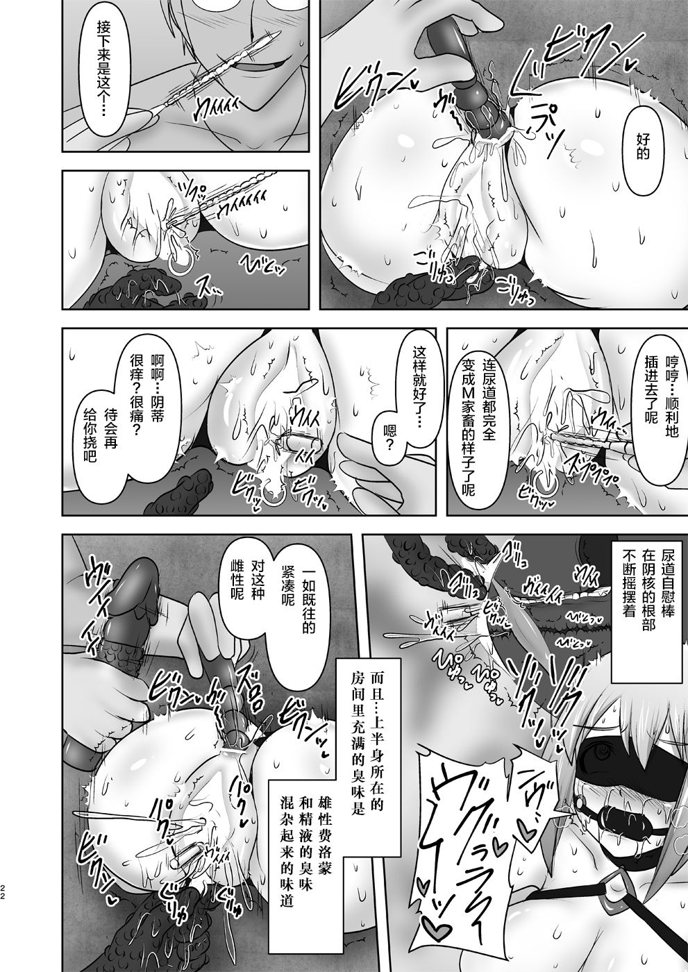 (C91) [FONETRASON (Ryutou)] Raygis Valicess Elsain Hajigyaku no Reigokutou Kouhen [Chinese] [不咕鸟汉化组] page 21 full