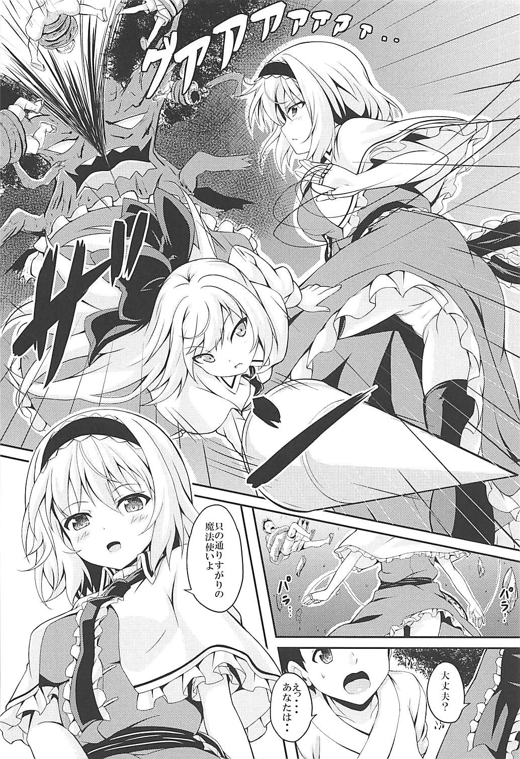 (C94) [Zircon Prime (o-bow)] RAID CLIP ALICE (Touhou Project) page 3 full