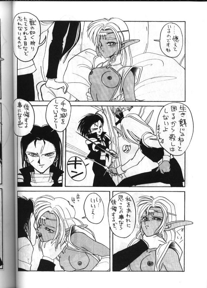 (C41) [Night Stalkers (Complier, Shamp Samurai)] Deed Ga Nobanashi 2 (Record of Lodoss War) page 9 full