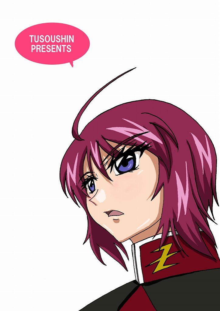 (C67) [TOUSOUSHIN (Spanking Samurai)] Mousou Dairi Chou Mini Destiny (Gundam SEED DESTINY) page 12 full