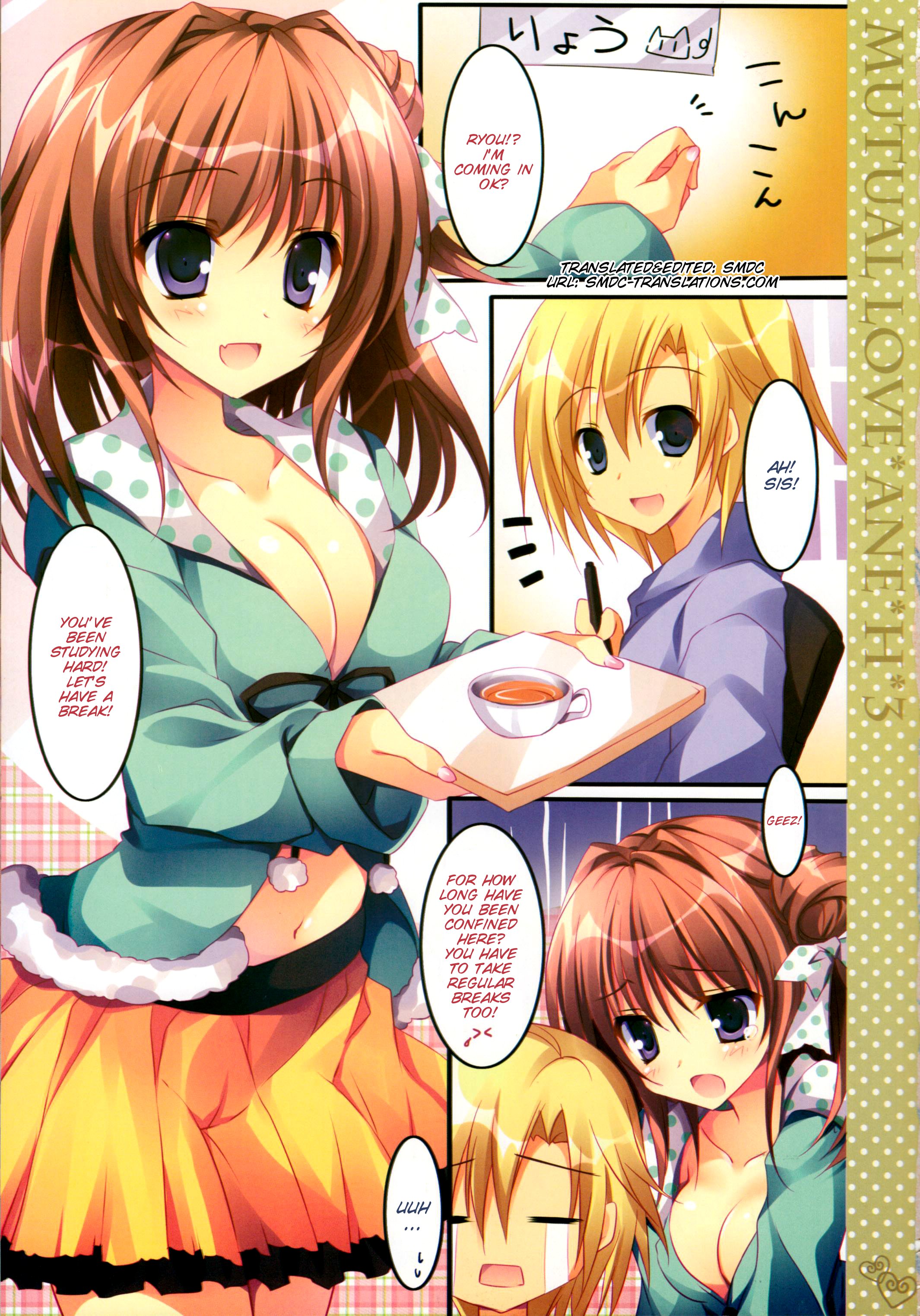 (C85) [Matsurija (Nanaroba Hana)] Soushisouai Ane Ecchi 3 [English] [SMDC] page 6 full