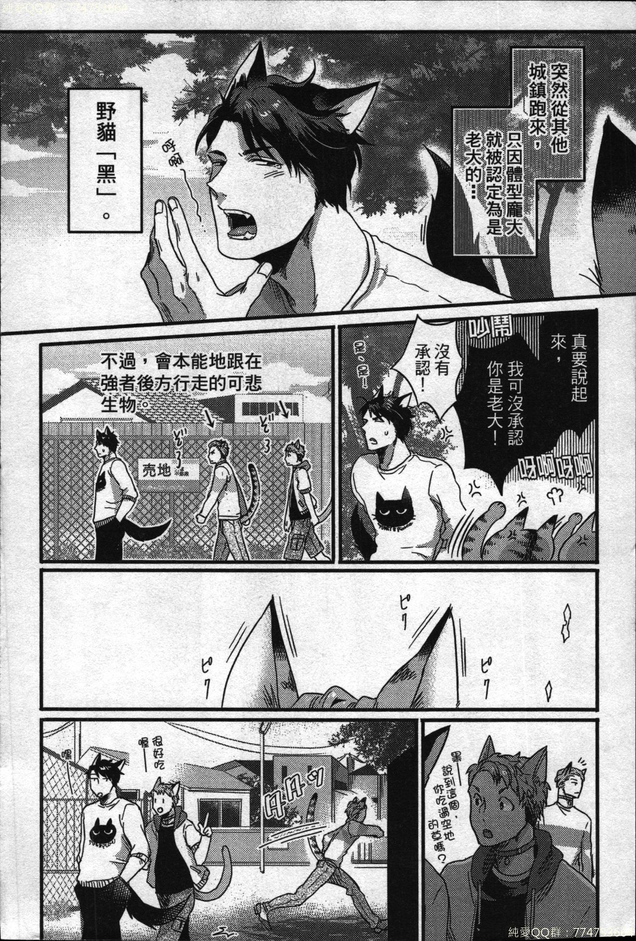 [Ikuyasu] Hatsujou Kemono Hiyori | 發情野獸日和 [Chinese] page 5 full