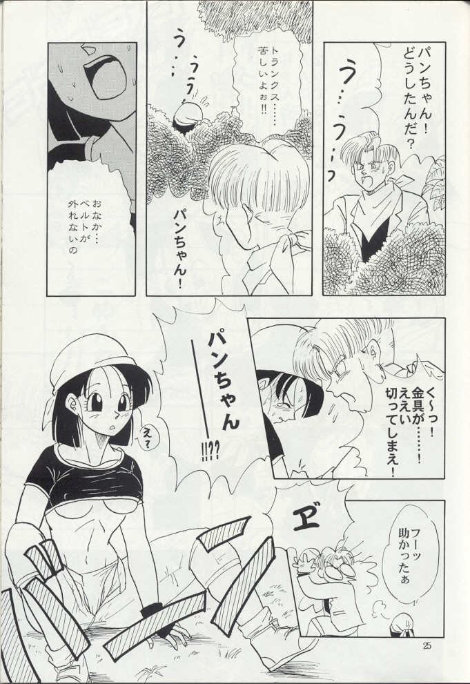 (C50) [Chirigami Goya, Fusuma go Ten (Shouji Hariko)] ZZ (Dragon Ball Z) page 25 full