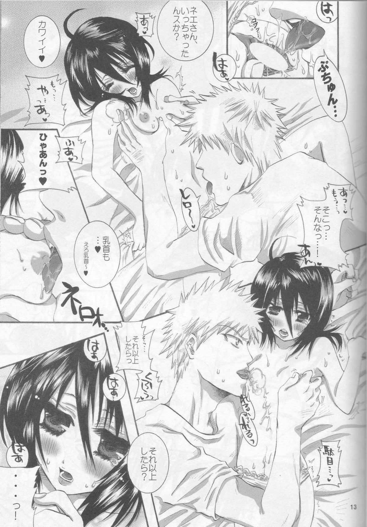 (C69) [PONCHEES (Kari) (Irohane Sui)] LionHeart (BLEACH) page 12 full