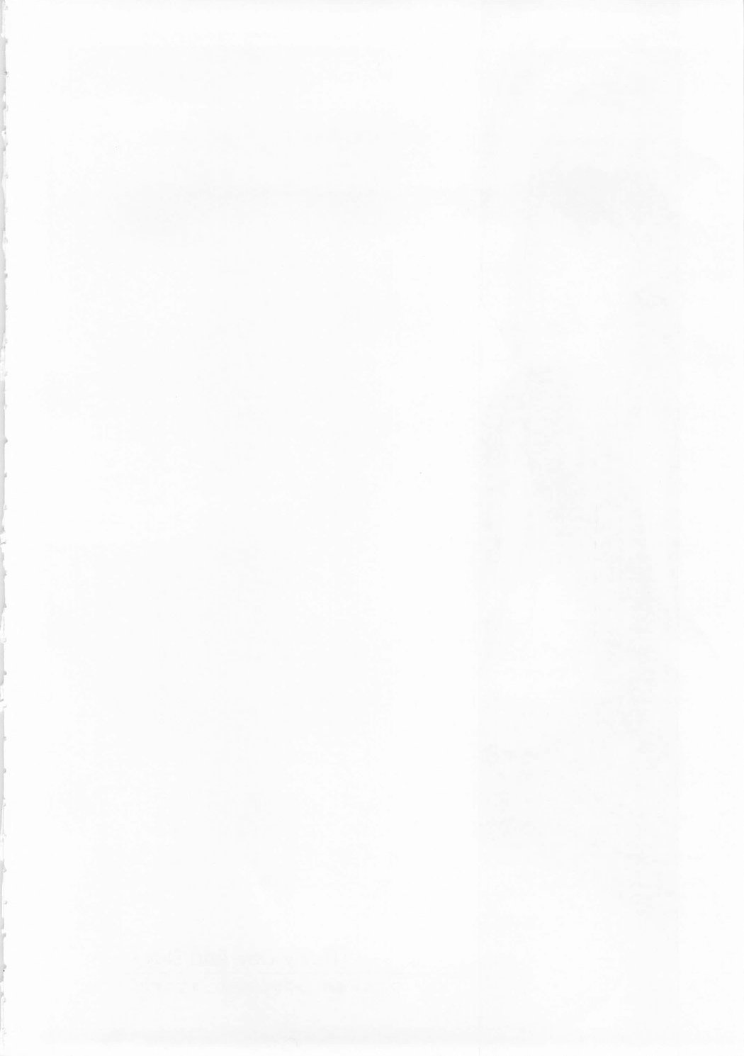(C73) [Type-G (Ishigaki Takashi)] Rainy Day And Day (Mahou Shoujo Lyrical Nanoha StrikerS) page 3 full