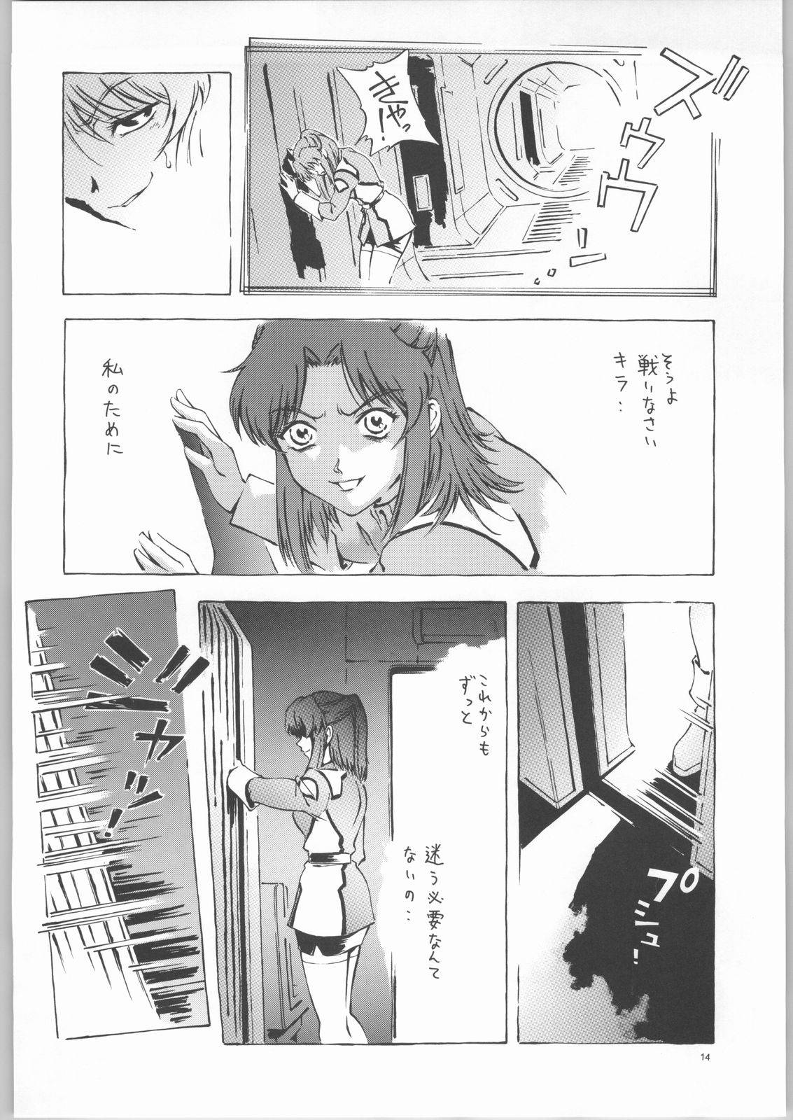 (C66) [Dish up (Warabi Yuuzou)] Kekkan Dam Dam A (Gundam Seed) page 13 full