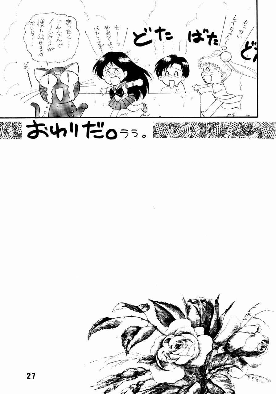 (C43) [The Garden (Itou Masaya)] Sailor Moon Jinsei (Bishoujo Senshi Sailor Moon) page 26 full