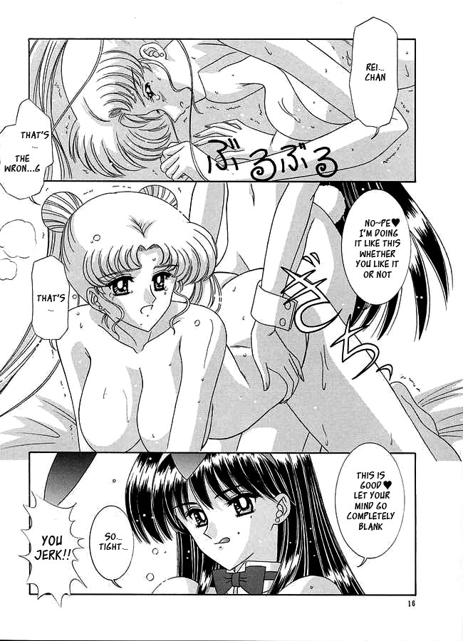 [Bousou!! Fuhatsudan (Takai Biki)] Watashi no Megami-sama (Bishoujo Senshi Sailor Moon) [English] [_ragdoll] page 15 full