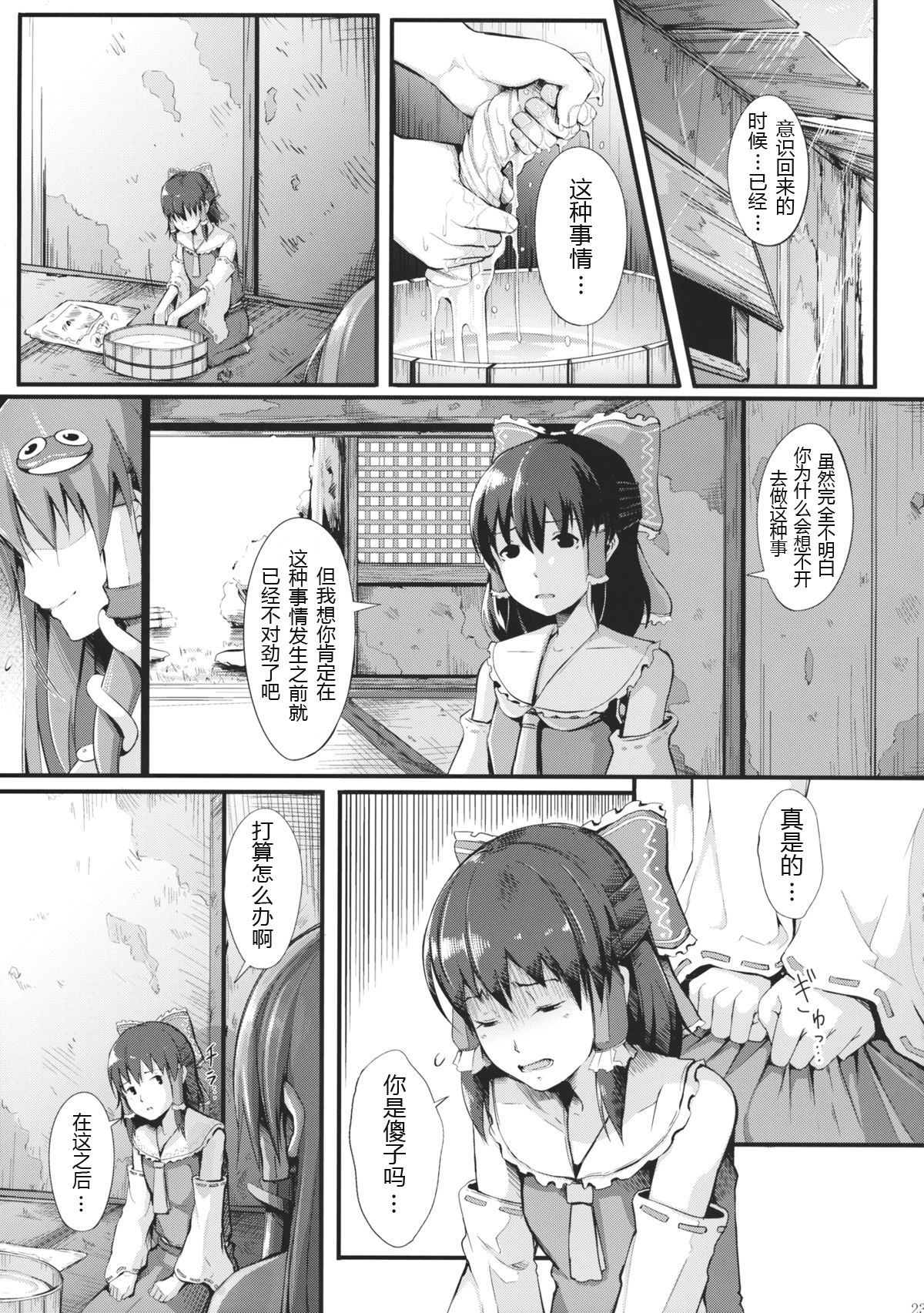 (Reitaisai 12) [Gessyu (Chouzetsu Bishoujo mine)] memoirs (Touhou Project) [Chinese] [没想好名汉化] page 25 full