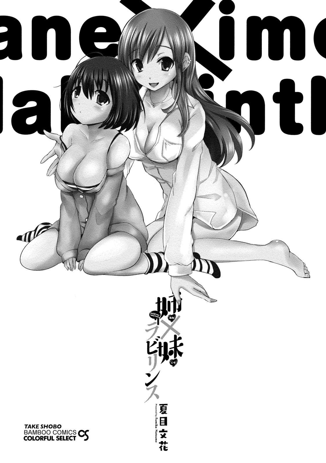 [Natsume Fumika] Ane x Imo Labyrinth [Digital] page 3 full