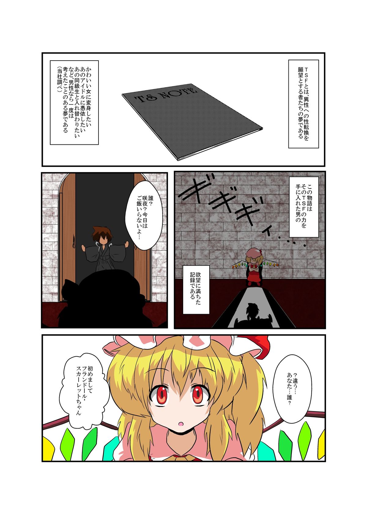 [Ameshoo (Mikaduki Neko)] Touhou TS Monogatari ~Flandre-hen~ (Touhou Project) page 4 full