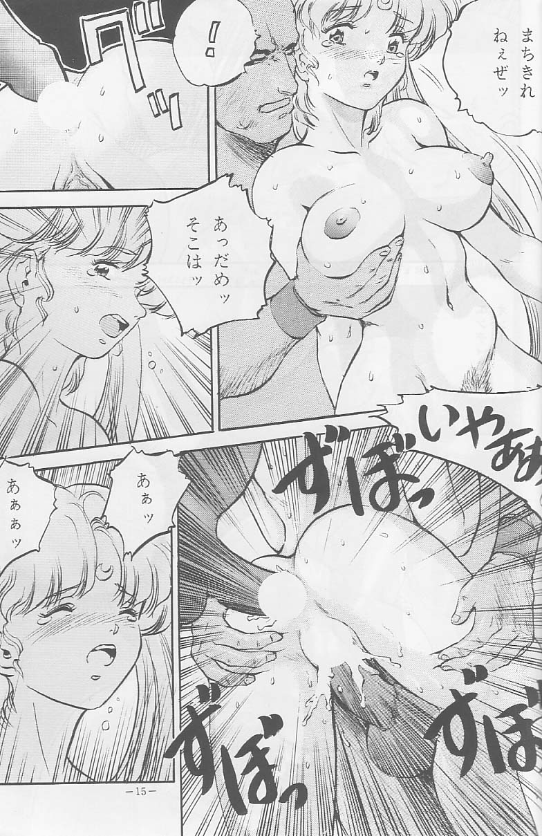 (C44) [METAL ( Sengoku -kun)] Sengoku (Record of Lodoss War, Sailor Moon) page 14 full