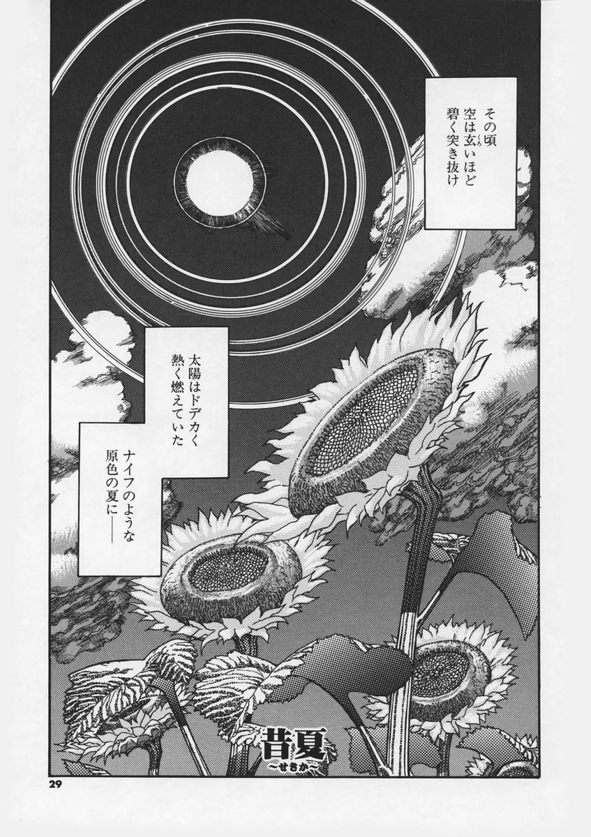 [Ashika] Hankouki page 31 full