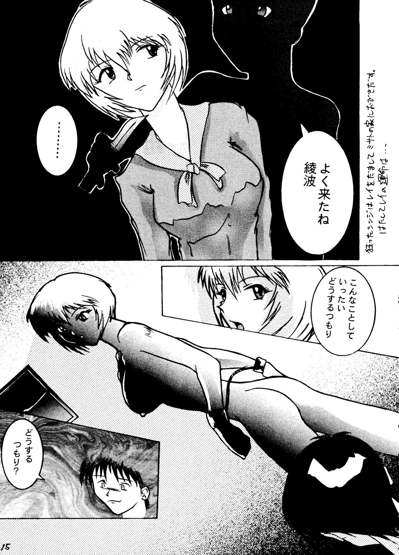 [Tail of Nearly (Wakabayashi)] Shadow Defence 2 (Various) page 14 full