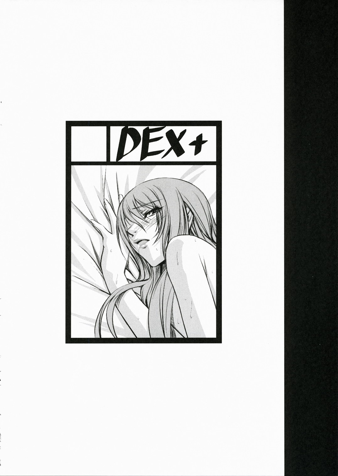 (C72) [DEX+ (Nakadera Akira)] P3 lovers (Persona 3) page 3 full