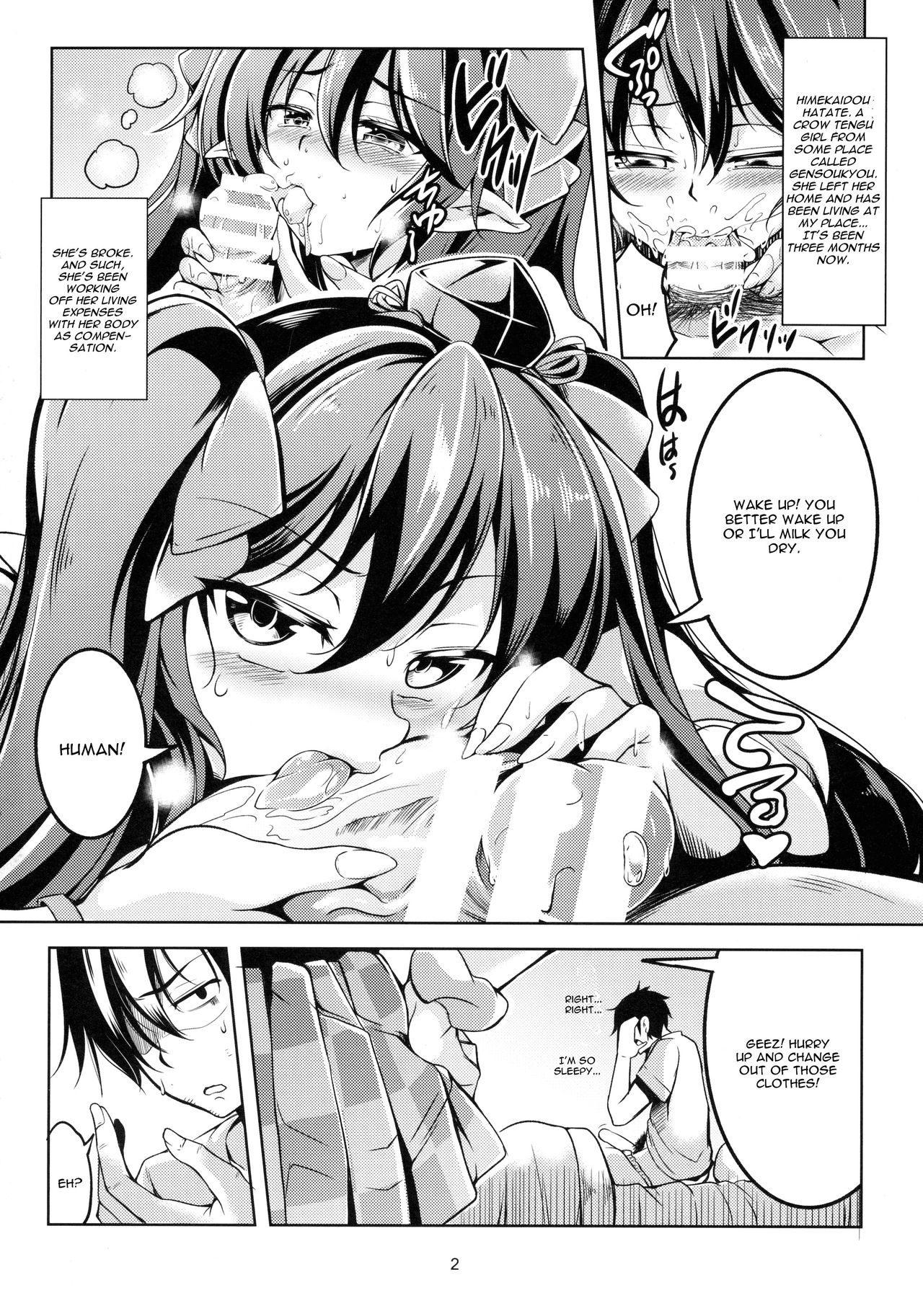 (Shuuki Reitaisai 3)  [WindArTeam (WindArt)] Wagaya no Otengu-sama -Chuuhen- (Touhou Project) [English] [CGrascal] page 3 full