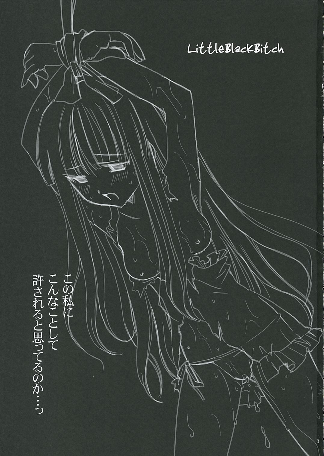 (Comic Characters! 2) [Daigaku Seiryouku (Daigakusei A)] Little Black Bitch (Mahou Sensei Negima!) page 3 full