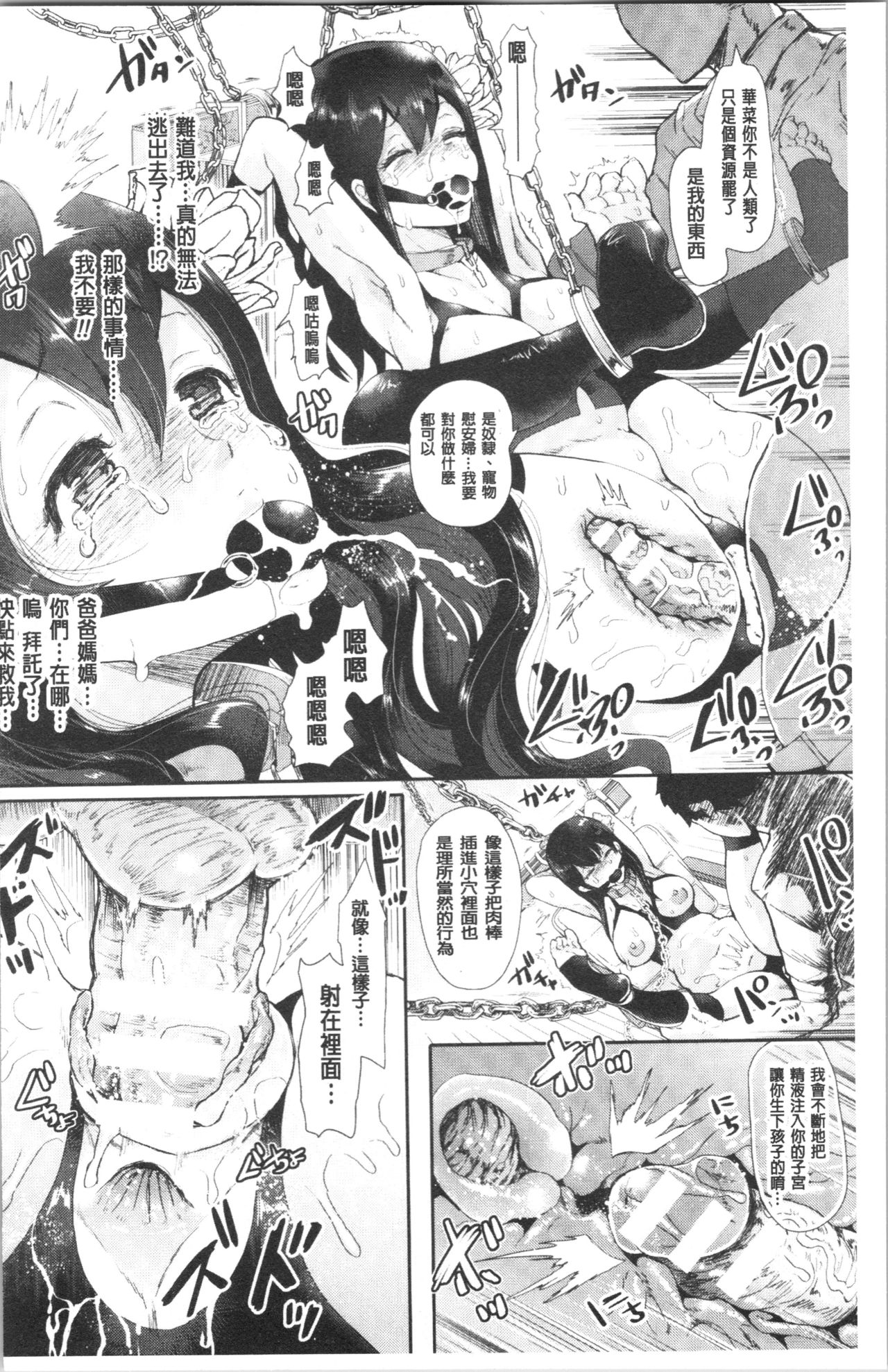 [Shomu] Black Desire -Mesu Ochi Seishori Pet- [chinese] page 41 full