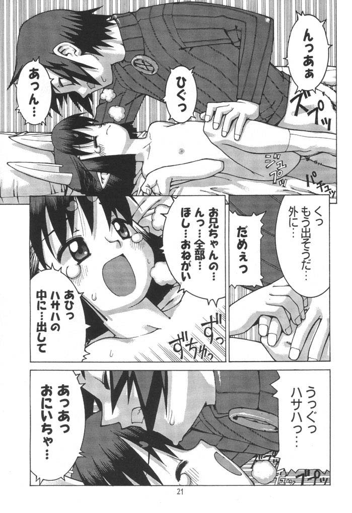 (C61) [Y no Shokutaku (Hamada Yoshikadu)] Nengemishou (Summon Night 2) page 22 full