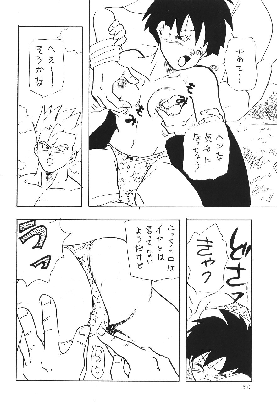 (C45) [Chirigami Goya, Fusuma go Ten (Shoji Hariko)] XXX (DRAGON BALL) page 29 full