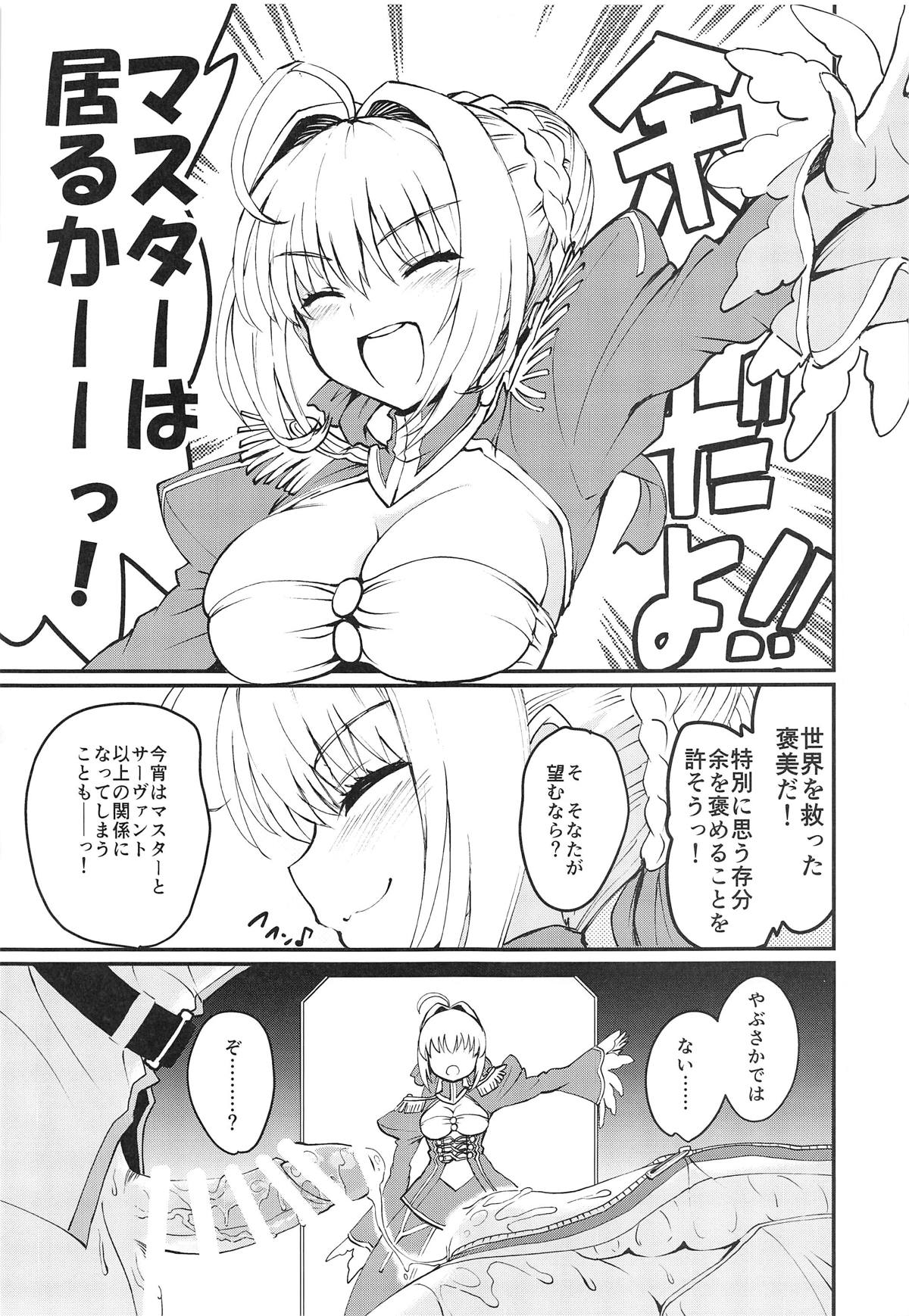 (C95) [ROHGUN_KYOH (Rohgun)] Nero+Nero! (Fate/Grand Order) page 24 full