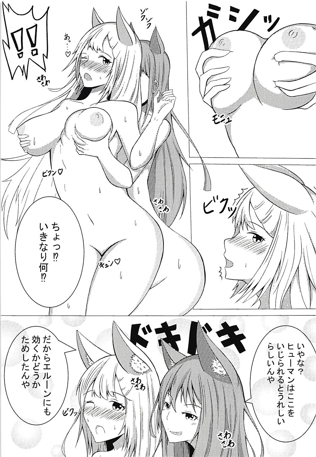 (C94) [Sanshoku Doufu (Nagi)] Elune no Ecchi na Jikken (Granblue Fantasy) page 4 full