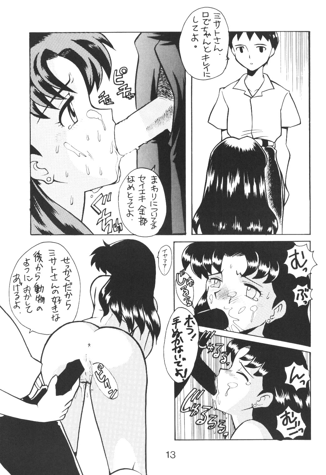 (C50) [Nagisawaya (Nagisawa You)] Sirumania Family (Neon Genesis Evangelion) page 12 full