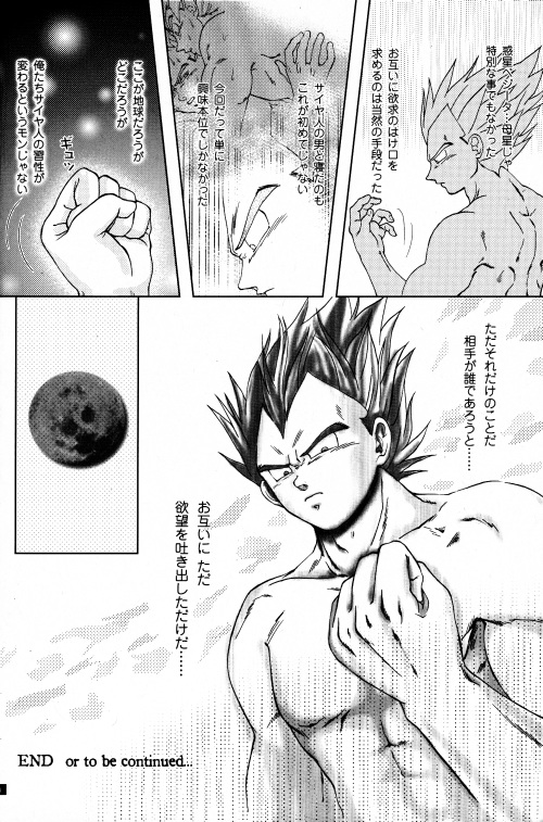 [GREFREE (ema)] Blaze (DRAGON BALL Z) page 18 full