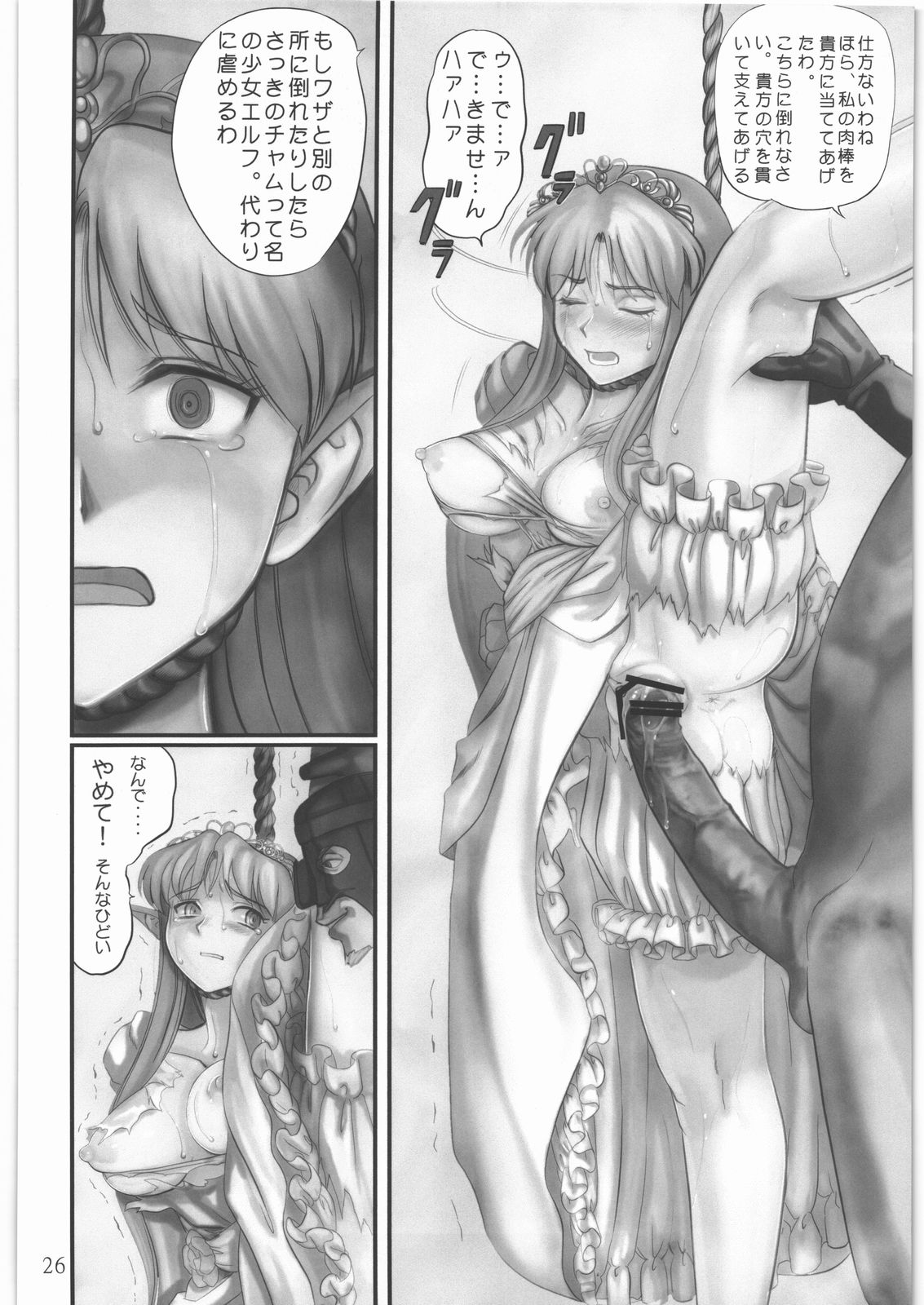 (C79) [Youkai Ankake (Pikurusu)] Elf Ryoujoku ~Ruby no Namida~ (Dragon Quest IV) page 25 full