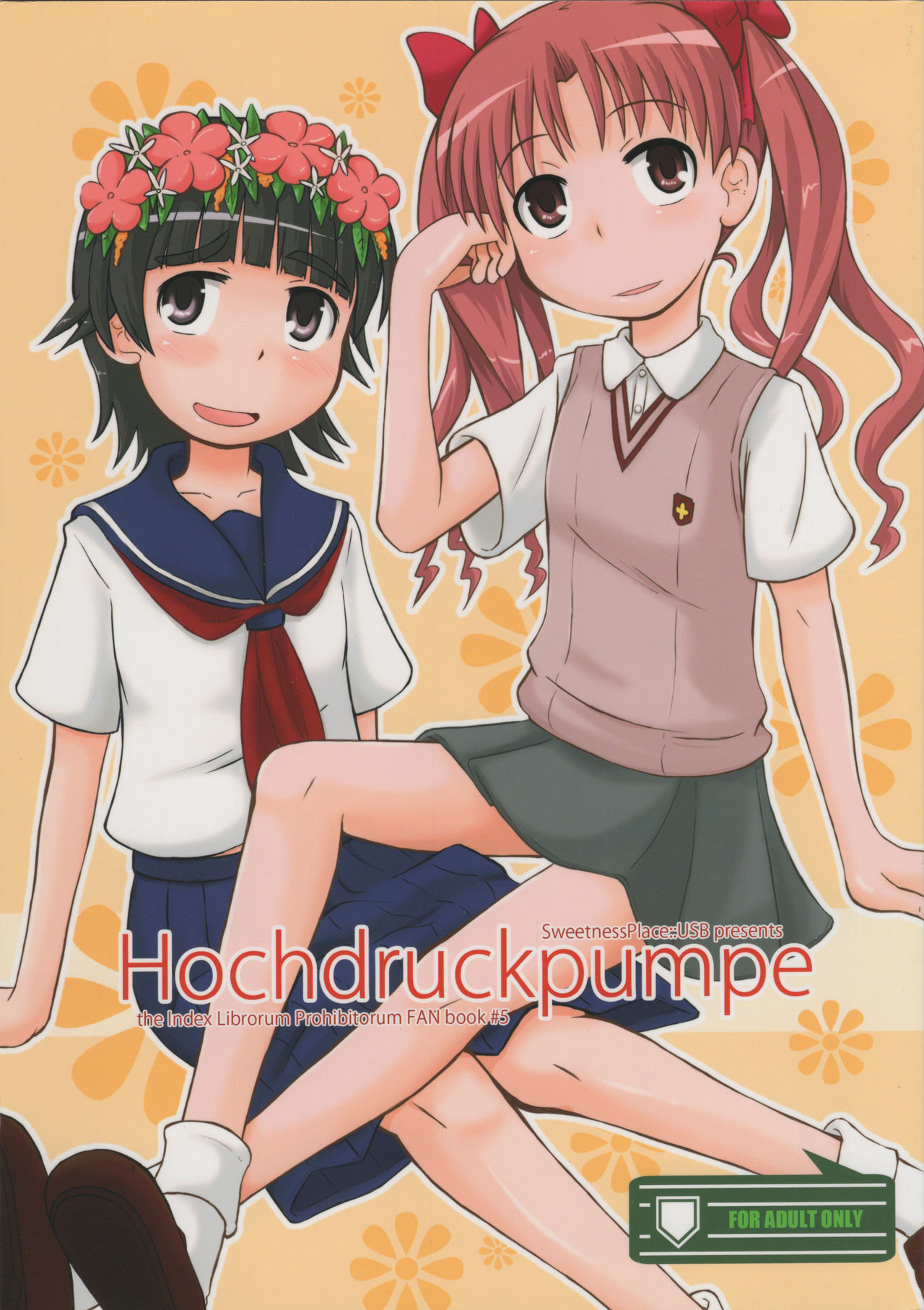 (C77) [Kanmidokoro USB (Furiri)] Hochdruckpumpe (Toaru Kagaku no Railgun) page 1 full