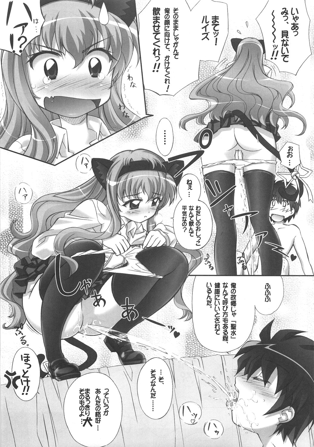 (C71) [Gourmet Poppo (Dr.momo)] Louise no Gotoku! (Zero no Tsukaima) page 22 full