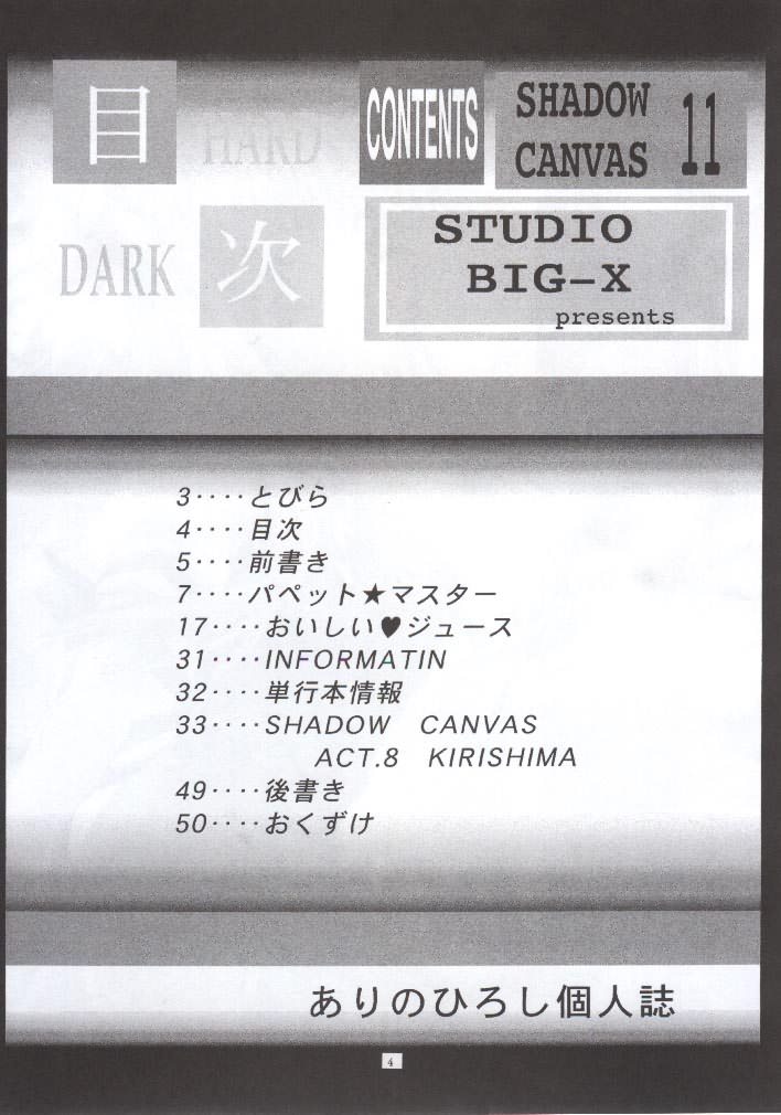 (CR28) [Studio BIG-X (Arino Hiroshi)] SHADOW CANVAS 11 (AIR) page 3 full