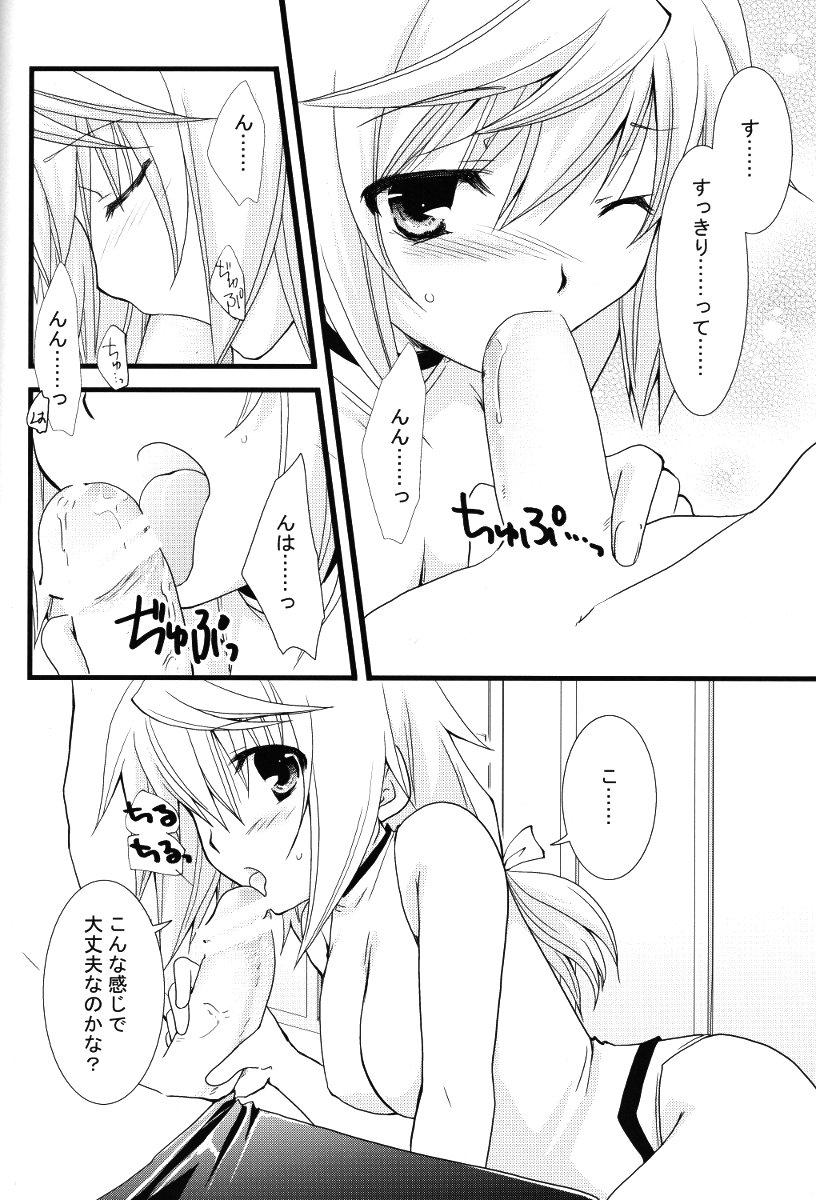 (C79) [CHAGASHI SAIBAN (Yamabuki Mook)] Kigae Chuuihou! (Infinite Stratos) page 14 full
