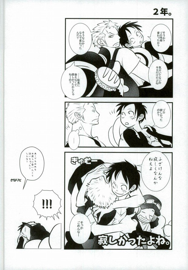 (C89) [Nico-ichi (Miyagi Kei)] Ore no Aibou no Hanashi (One Piece) page 5 full