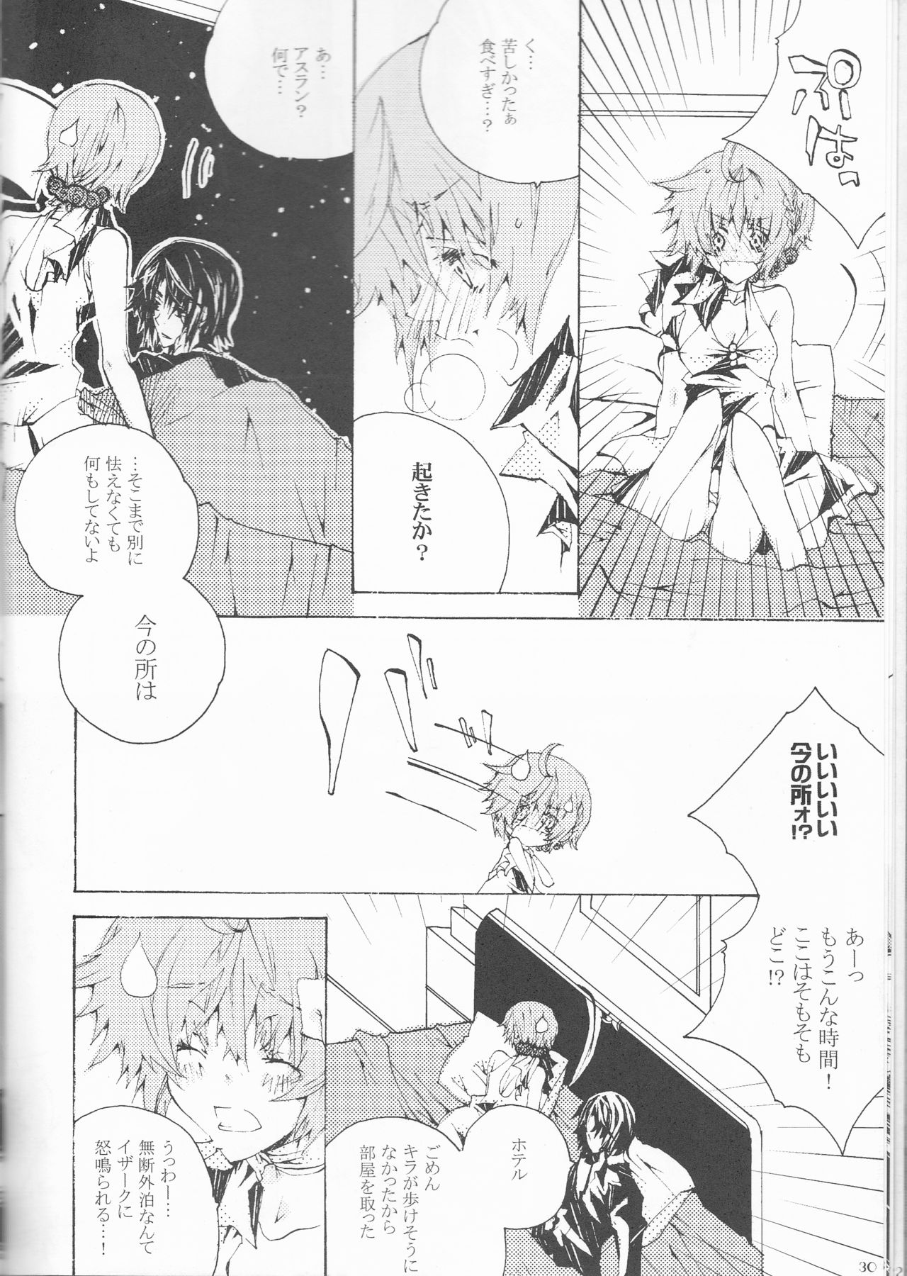 [OMEGA (Koune En)] Hoshizora Waltz (Kidou Senshi Gundam SEED DESTINY) page 30 full