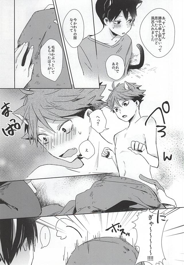 (RTS!!5) [Shounen-H (Yuuki)] Neko ni Natta Oikawa-san (Haikyuu!!) page 16 full