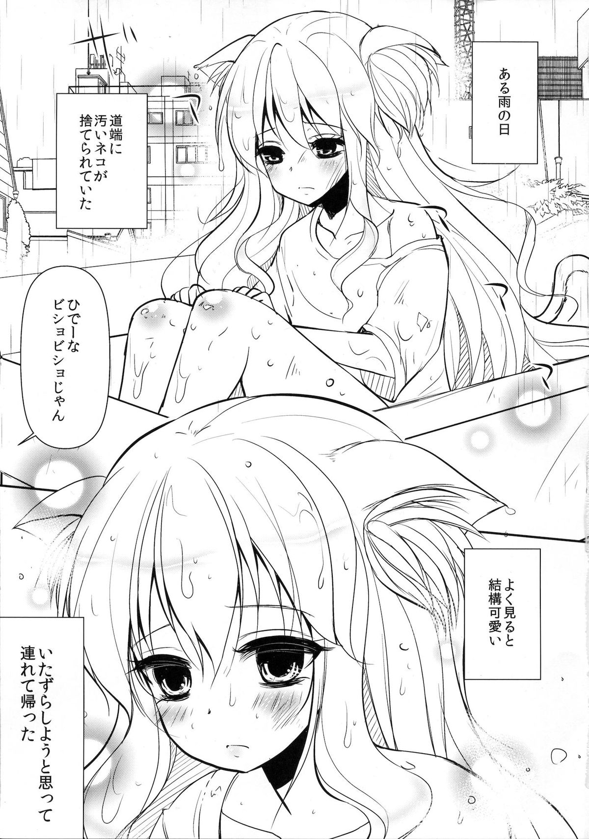 (C81) [chocolate Lv.5 (Dynamite moca)] Nekomimi Josou Shounen Shiiku Nikki page 2 full