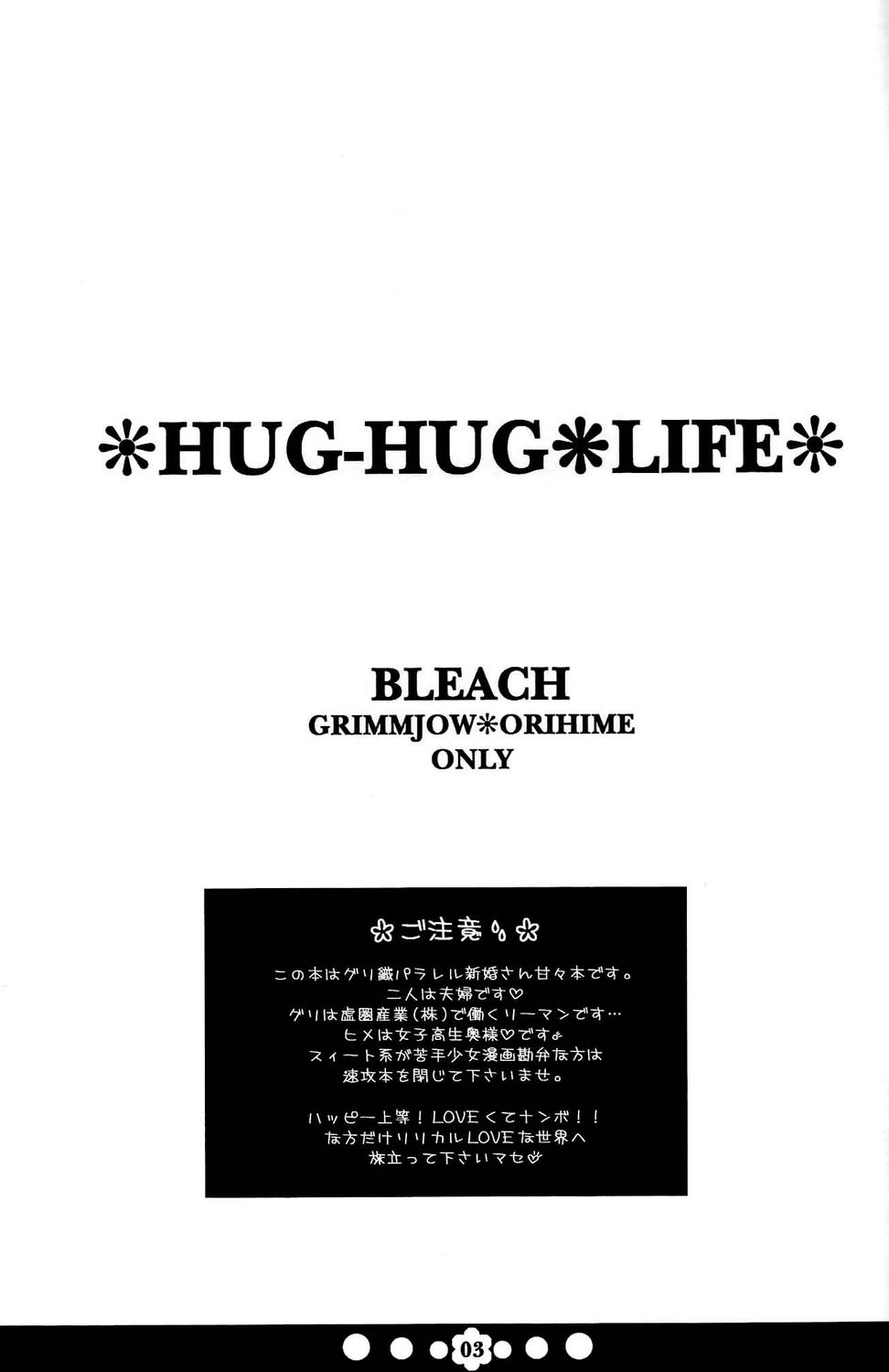 (C72) [Funny Devil (Okada Reimi)] Hug-Hug Life (Bleach) page 2 full