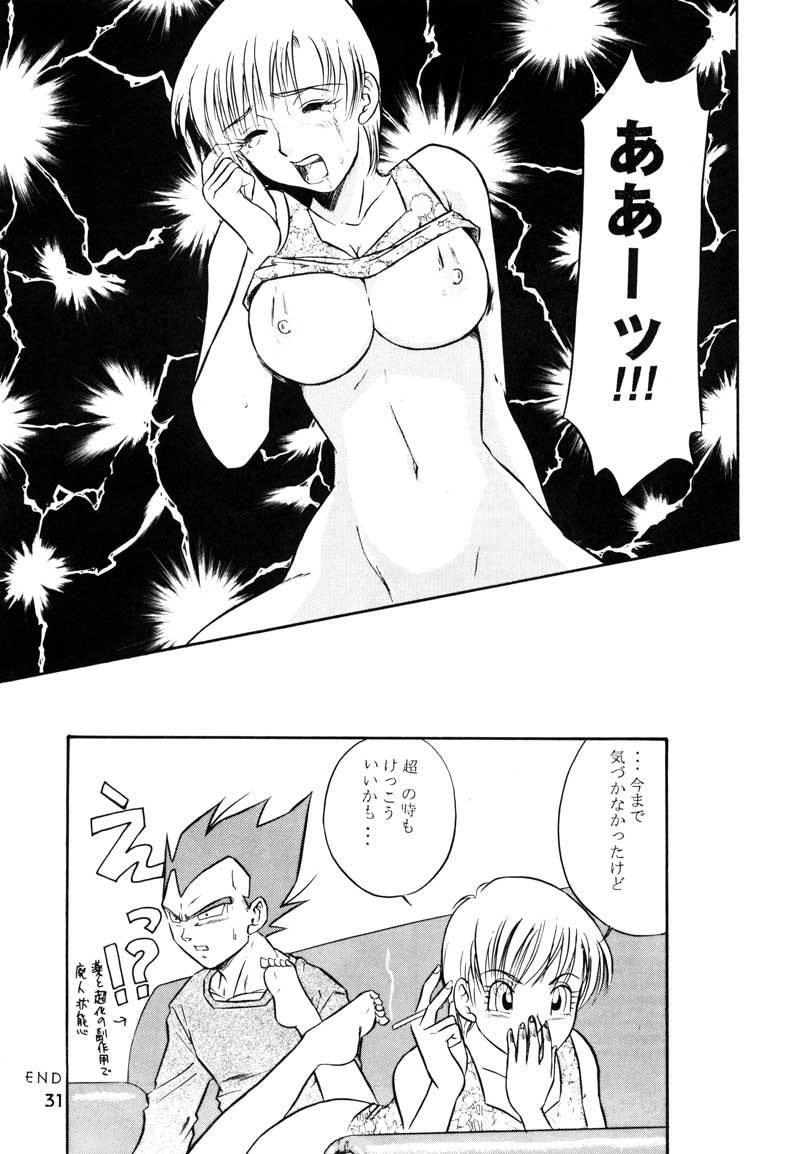 (C63) [Ryujin-kai (HITO Ribuki)] GIFT (Dragon Ball Z) page 29 full