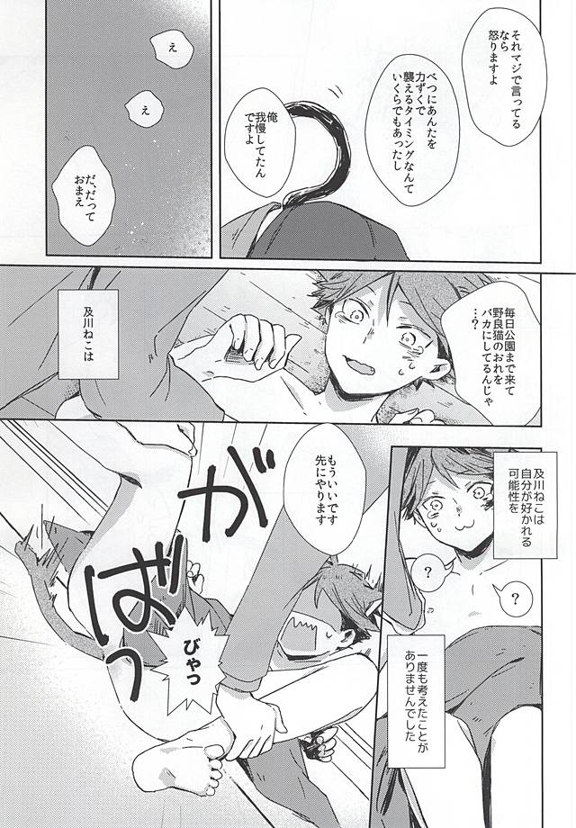 (RTS!!5) [Shounen-H (Yuuki)] Neko ni Natta Oikawa-san (Haikyuu!!) page 24 full