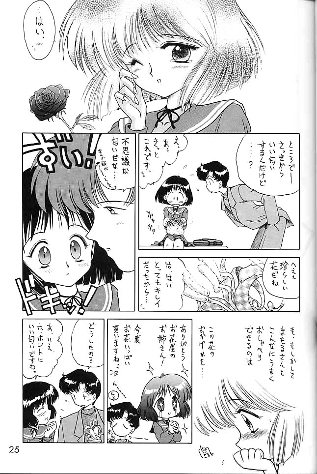 (C58) [BLACK DOG (Kuroinu Juu)] GOLD EXPERIENCE (Bishoujo Senshi Sailor Moon) page 24 full