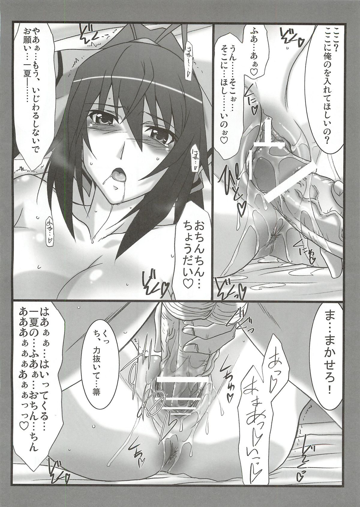 (C81) [STUDIO TRIUMPH (Mutou Keiji)] Astral Bout Ver.22 (Infinite Stratos) page 12 full