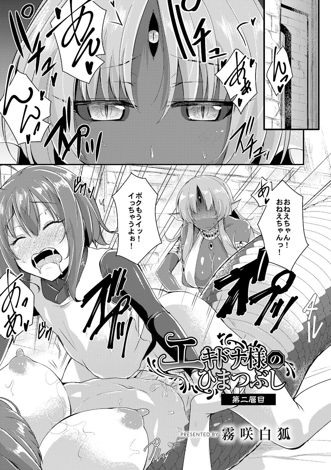 [Kirisaki Byakko] Echidna-sama no Himatsubushi Dai Ni Soume page 3 full