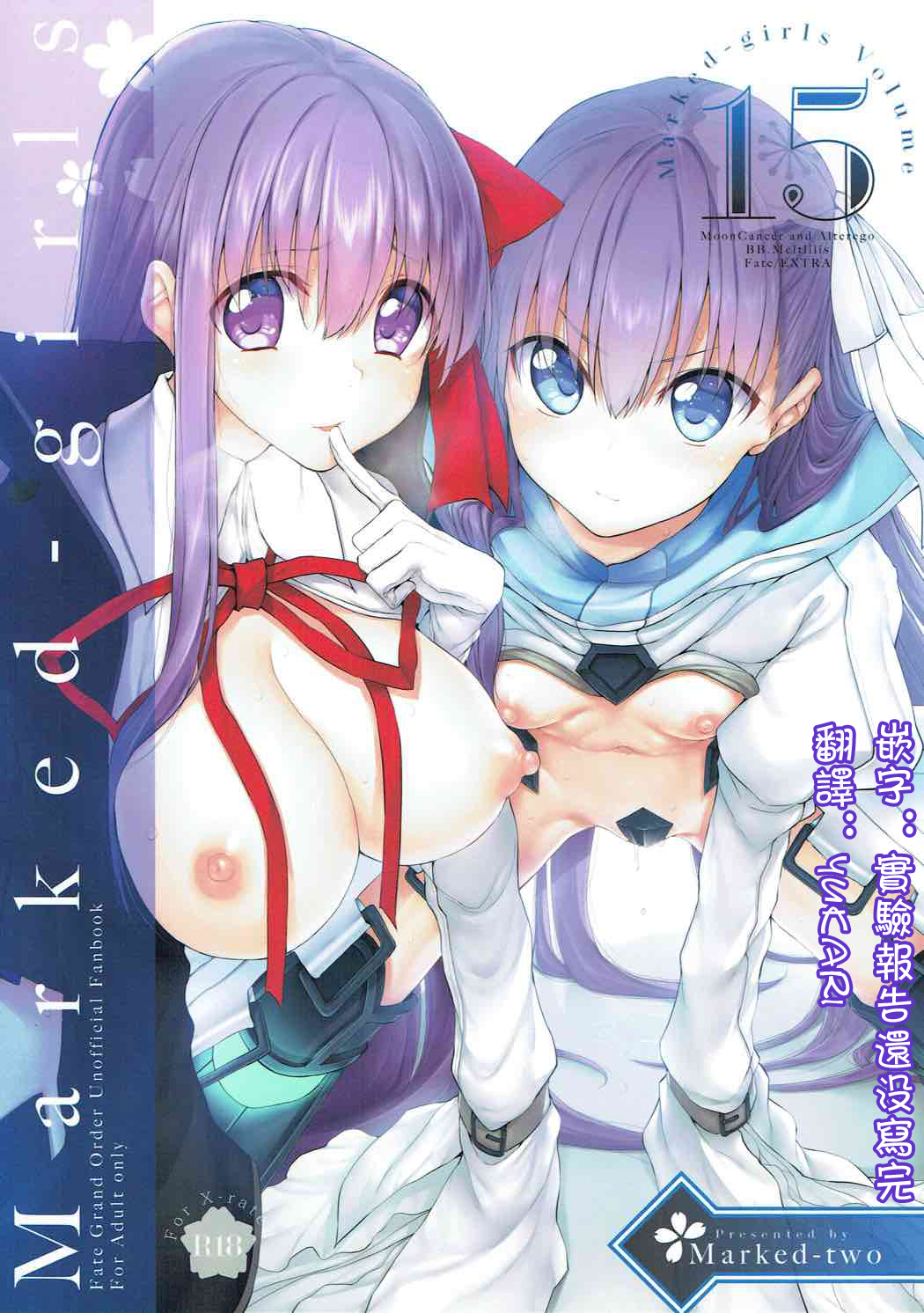 [Marked-two (Suga Hideo)] Marked Girls Vol. 15 (Fate/Grand Order) [Chinese] [废欲加速汉化] [Digital] page 1 full