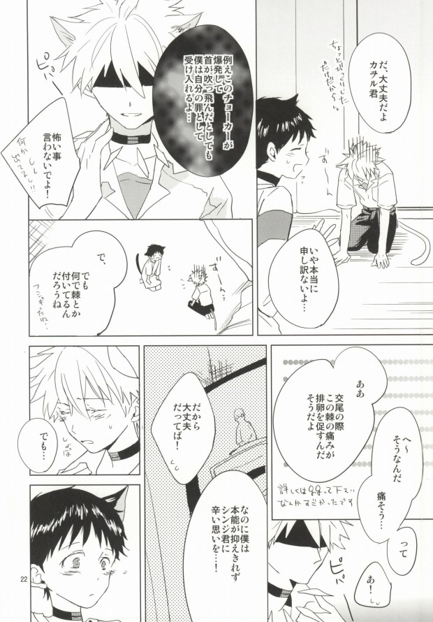 (HaruCC18) [Mm. (Moto)] Shin-chan ga Hatsujouki ni Narimashita. (Neon Genesis Evangelion) page 21 full