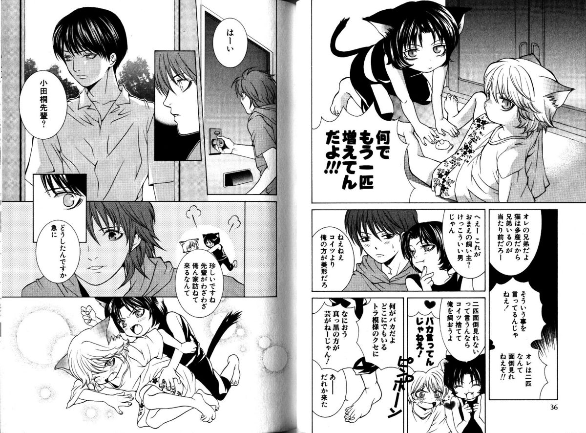 Akana Meiko - Nekokan page 21 full