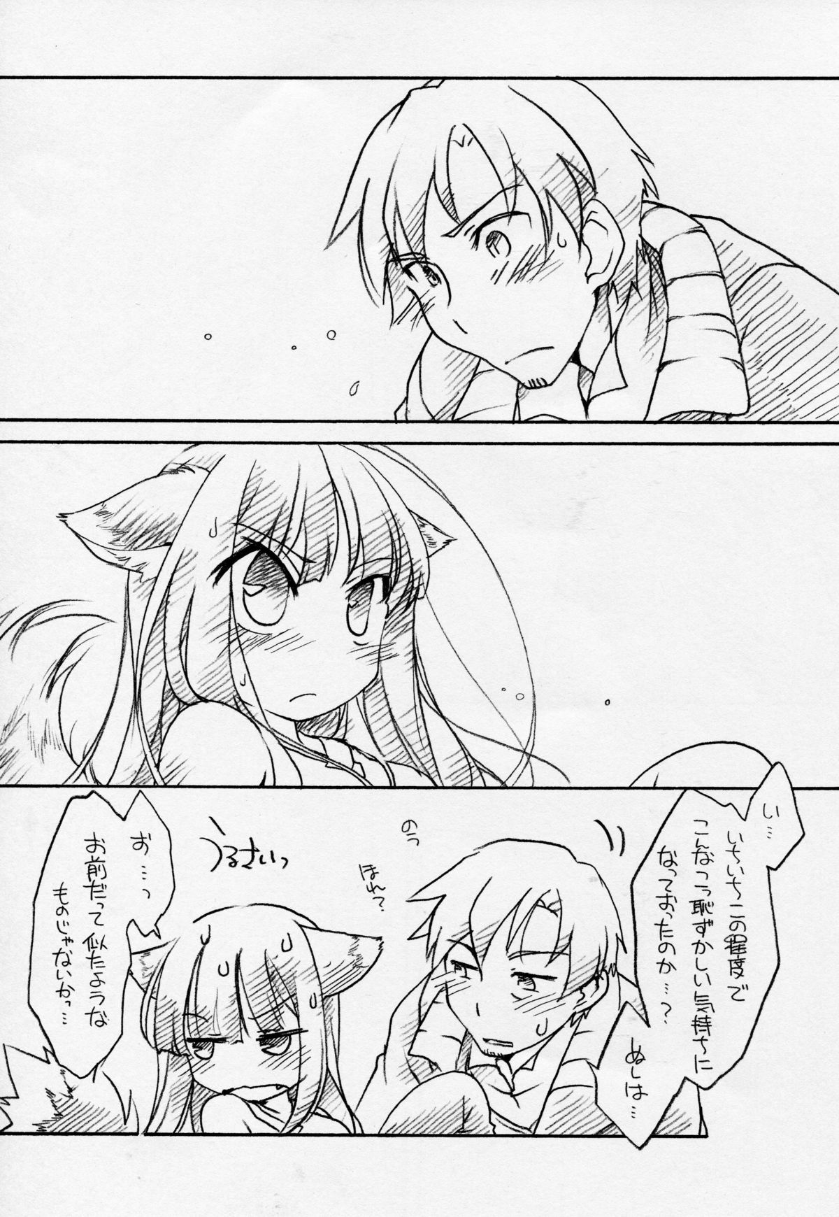 (C74) [Hina prin (Takanon Ikuta)] Ookami ga Koushinryou (Spice and Wolf) page 5 full