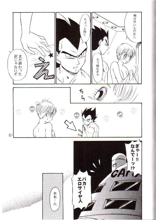 (C66) [Ryuujin-kai (HITO Ribuki)] CHEAP THRILLS (Dragon Ball Z) page 23 full